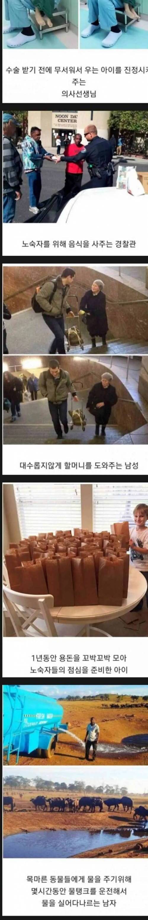 세상이 아직 따뜻하다는 증거.jpg