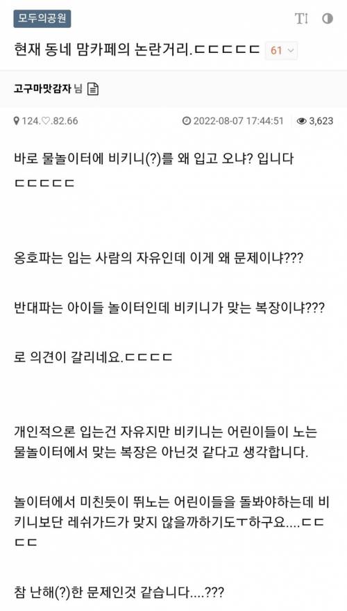 맘카페의 아파트 물놀이터 비키니 논란