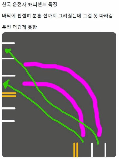 운전 못하는 사람 특징.jpg