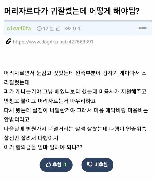 이발하다 귀잘린 고붕이