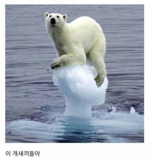 세상이 아직 따뜻하다는 증거.jpg