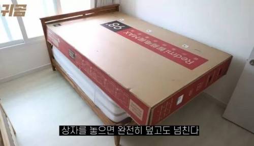 85인치 TV크기 체감
