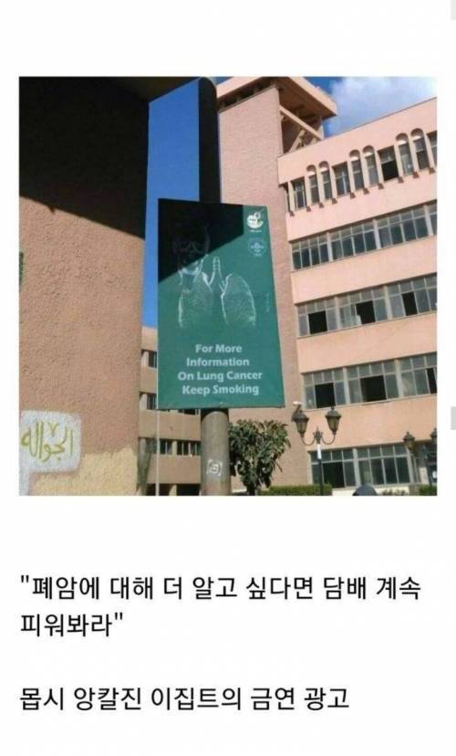 관광책자에서는 볼 수 없는 진짜 이집트의 모습들