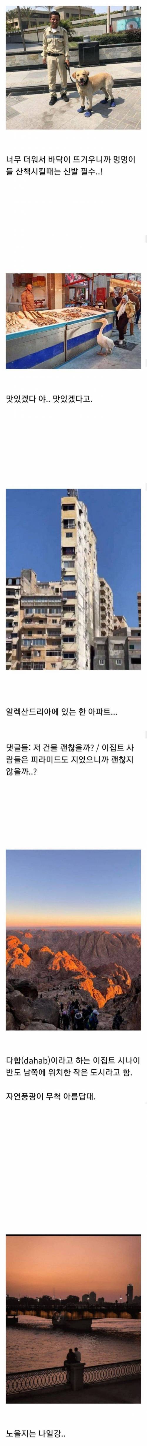 관광책자에서는 볼 수 없는 진짜 이집트의 모습들