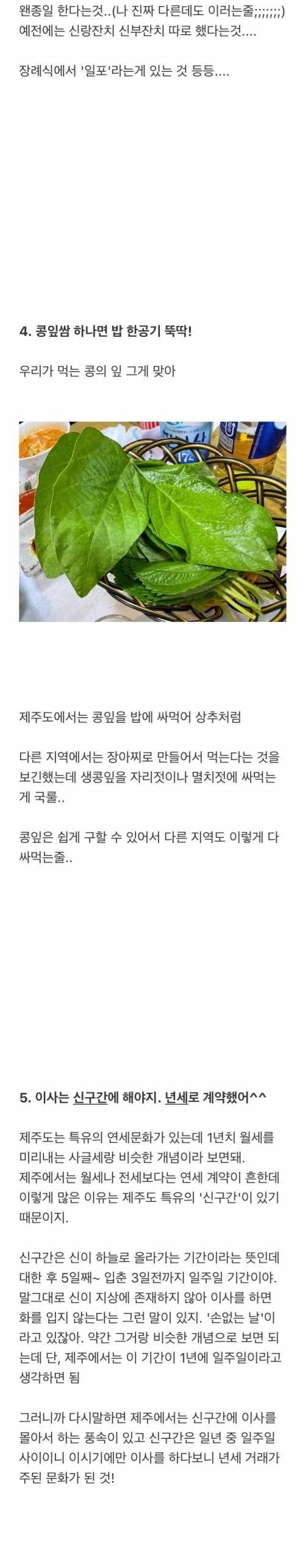 제주도 사람이 육지보고 컬쳐쇼크 느낀점들