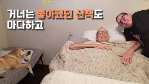 주인 옆자리 지키던 반려견이 눈 감은지 1시간뒤