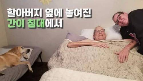 주인 옆자리 지키던 반려견이 눈 감은지 1시간뒤
