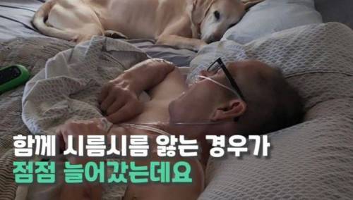 주인 옆자리 지키던 반려견이 눈 감은지 1시간뒤