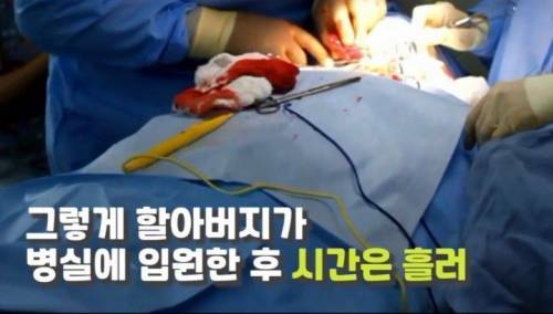 주인 옆자리 지키던 반려견이 눈 감은지 1시간뒤