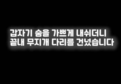 주인 옆자리 지키던 반려견이 눈 감은지 1시간뒤