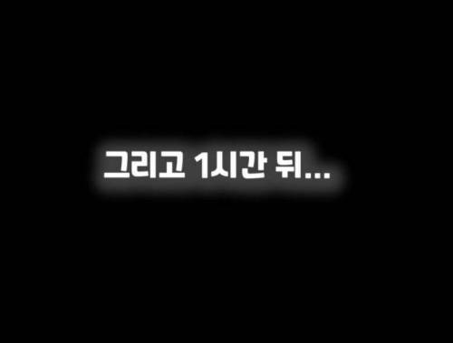 주인 옆자리 지키던 반려견이 눈 감은지 1시간뒤