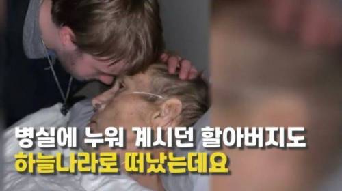 주인 옆자리 지키던 반려견이 눈 감은지 1시간뒤