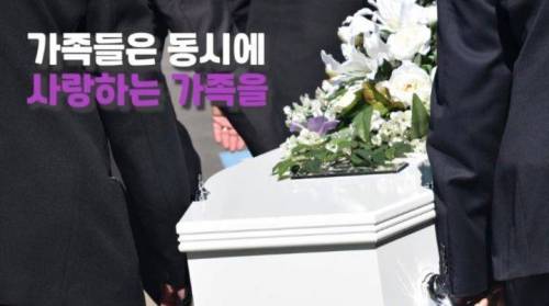 주인 옆자리 지키던 반려견이 눈 감은지 1시간뒤