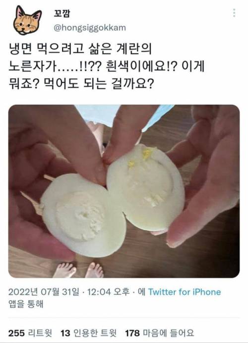 의외로 먹어도 되는 것?