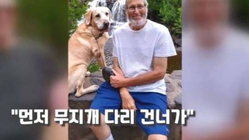 주인 옆자리 지키던 반려견이 눈 감은지 1시간뒤