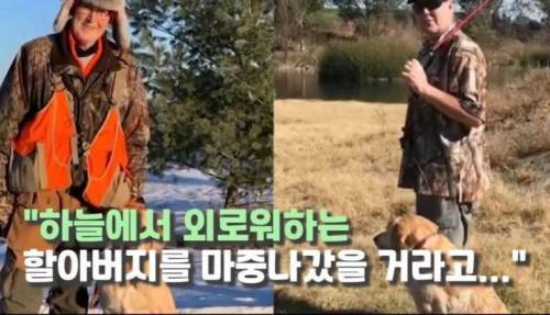 주인 옆자리 지키던 반려견이 눈 감은지 1시간뒤