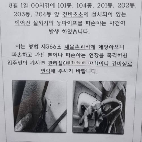 아파트의 정신병자