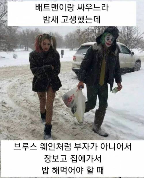 알고보면 짠한 조커와 할리퀸