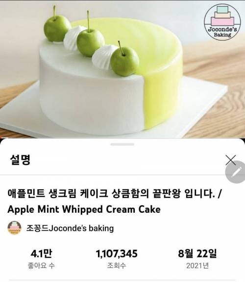 파리바게트한테 자기가 만든 케이크 모방당한 유튜버