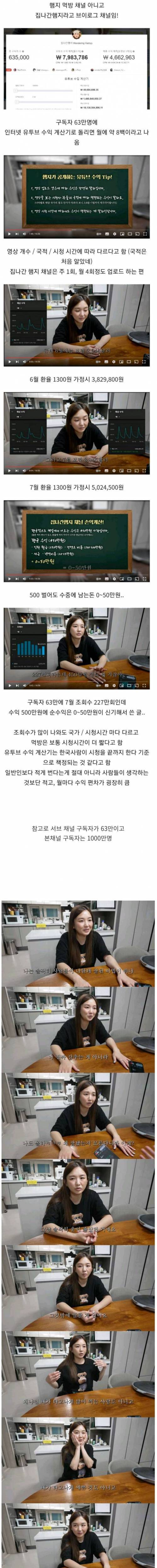 구독자 63만 계정 실수익 0~50만원이라고 공개한 유튜버