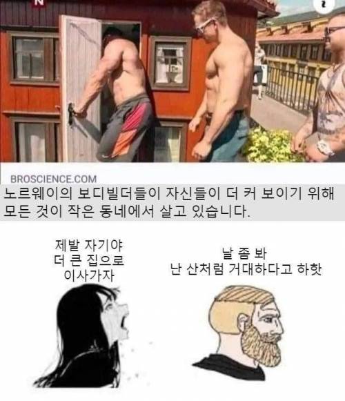 노르웨이 보디빌더들은 자신들이 더 커보이기 위해서