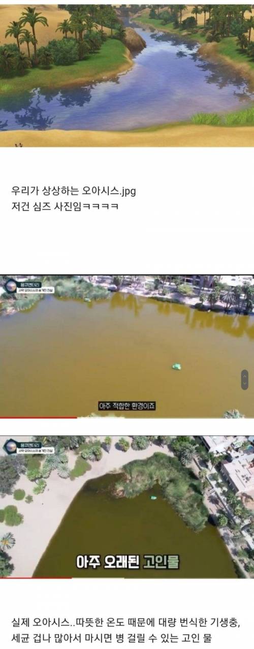 상상속의 오아시스 vs 현실속의 오아시스