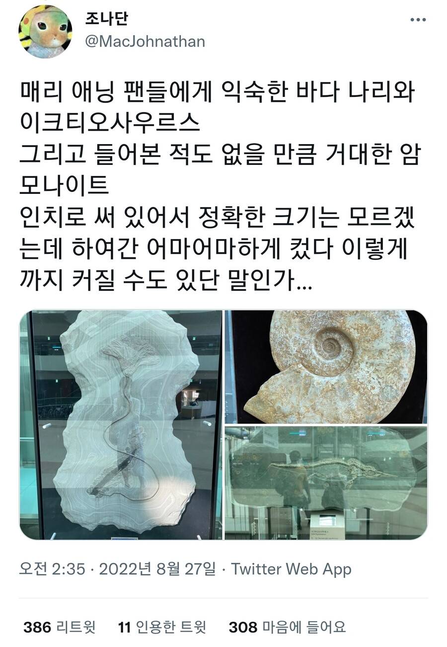 세계적 수준의 공룡화석이 병원에 전시되어있는 이유