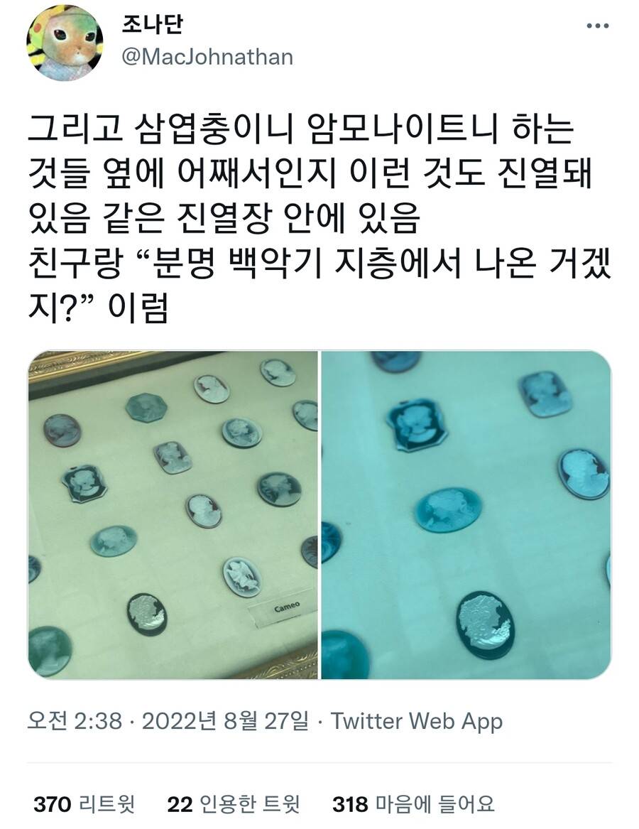 세계적 수준의 공룡화석이 병원에 전시되어있는 이유