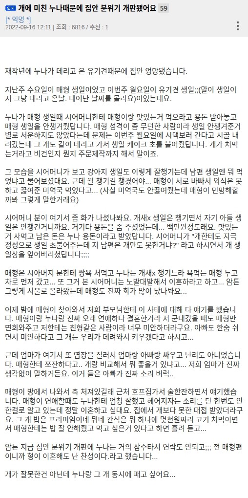 개에 미친 누나때문에 집안 분위기 개판됐어요