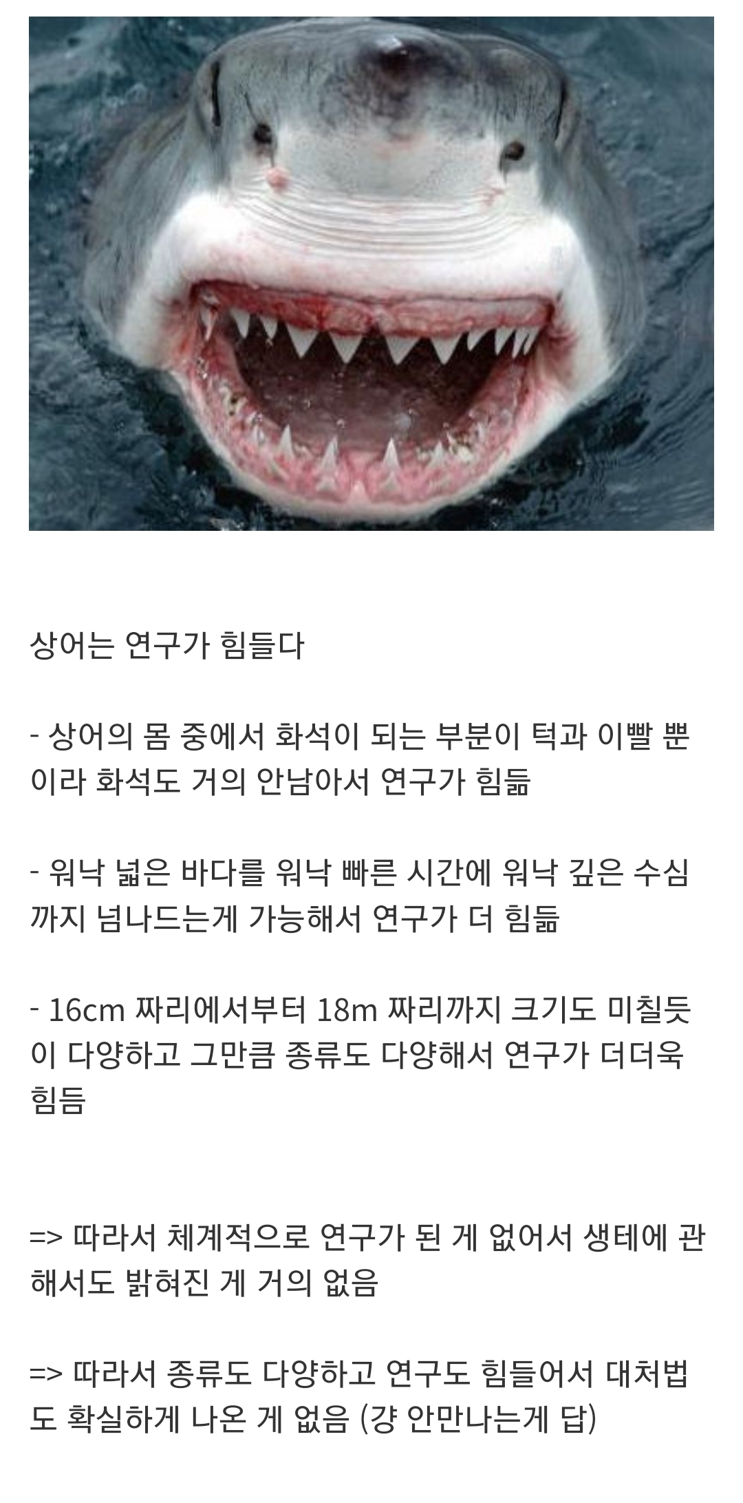 				인지도는 최고 수준인데 정작 알려진 건 거의 없는 생물...jpg