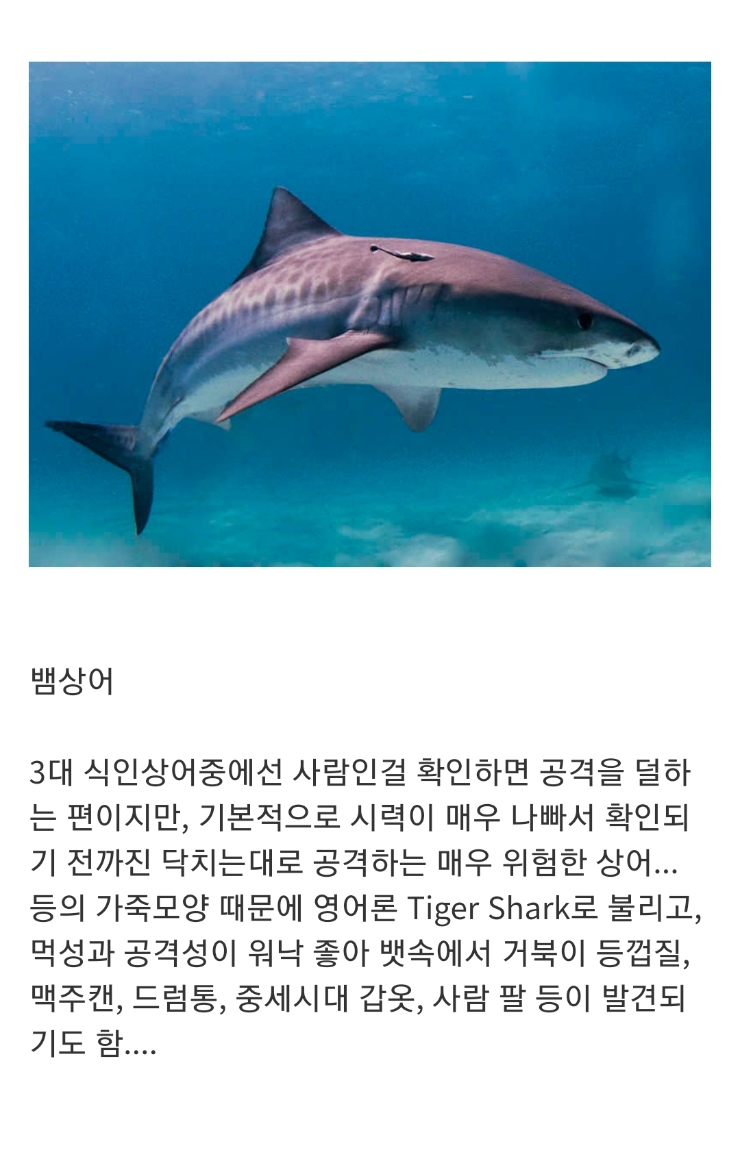 				인지도는 최고 수준인데 정작 알려진 건 거의 없는 생물...jpg