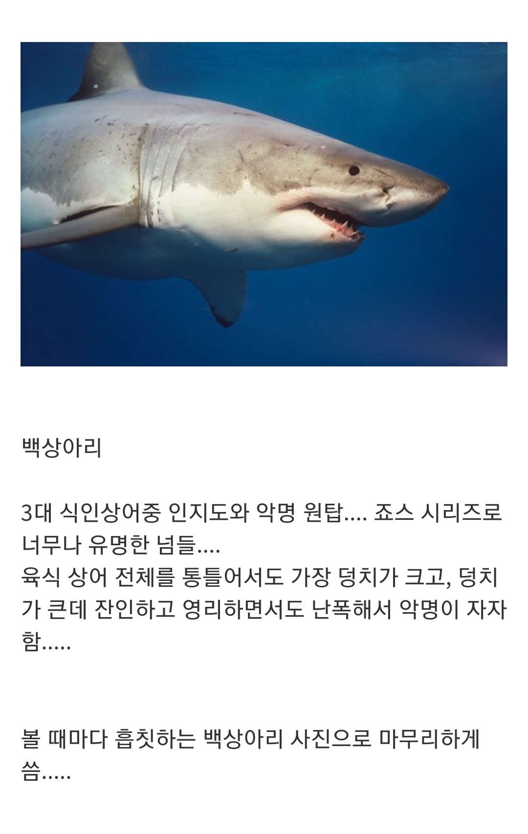 				인지도는 최고 수준인데 정작 알려진 건 거의 없는 생물...jpg