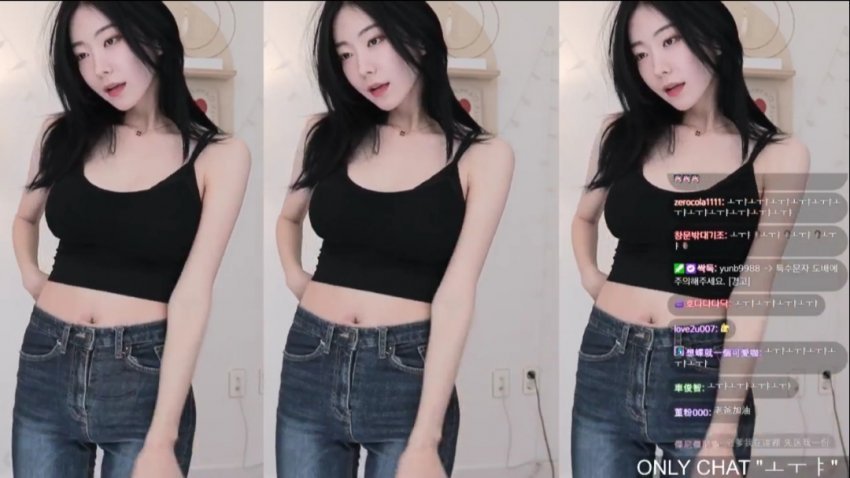 한국 여캠보던 중국인