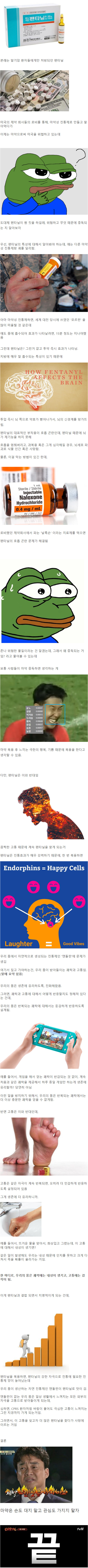 펜타닐의 위험성