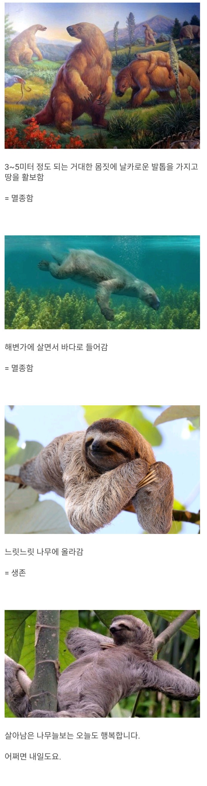 진화라는게 생각보다 별거 아니라는 걸 알려준 생물