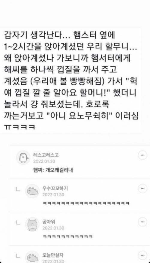 햄스터와 할머니