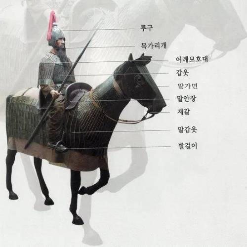 한국 최초의 말 갑옷이 발견될 수 있었던 이유