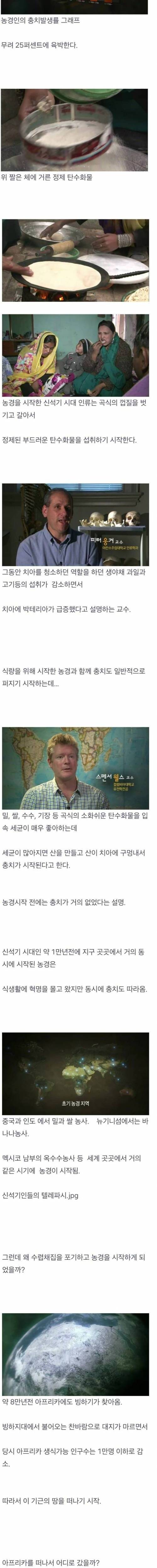 인간은 언제부터 충치가 생겼을까?