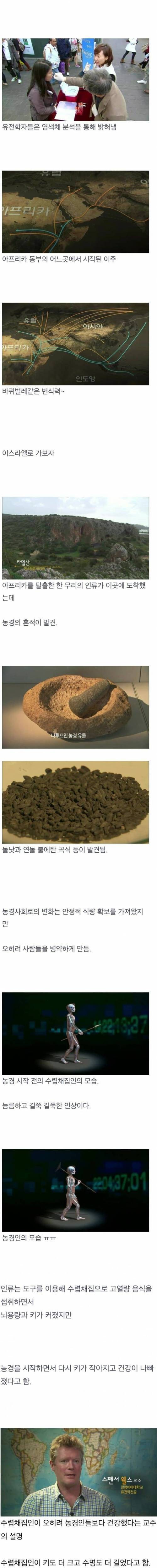 인간은 언제부터 충치가 생겼을까?