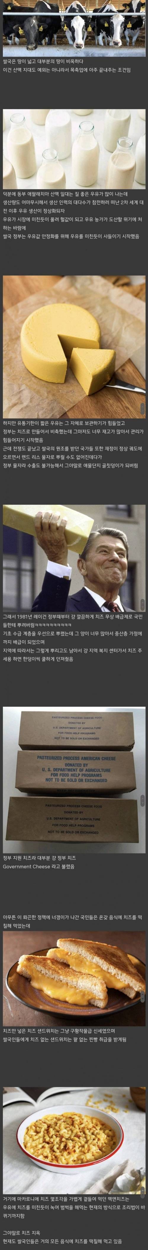 미국에서 모든 요리에 치즈가 들어가게 된 사연