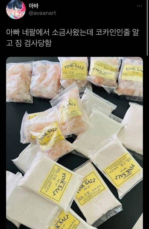 아빠 네팔에서 귀국했는데 짐 검사당함