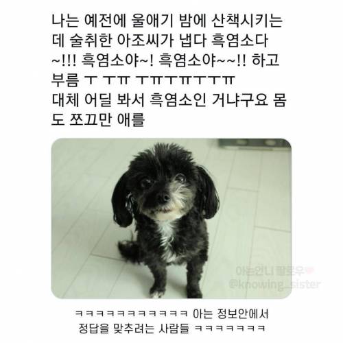 동물보고 눈에 보이는대로 부르는 어른들