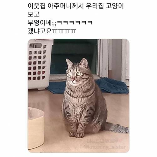 동물보고 눈에 보이는대로 부르는 어른들