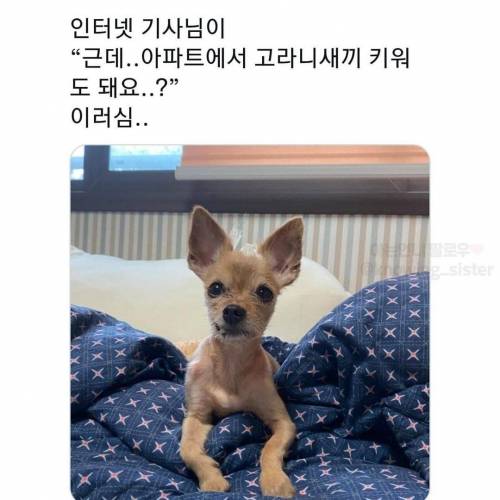 동물보고 눈에 보이는대로 부르는 어른들