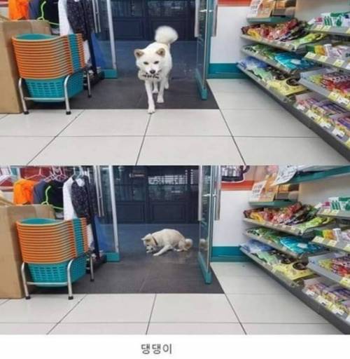 편의점 알바를 하게 되면 받는 보상