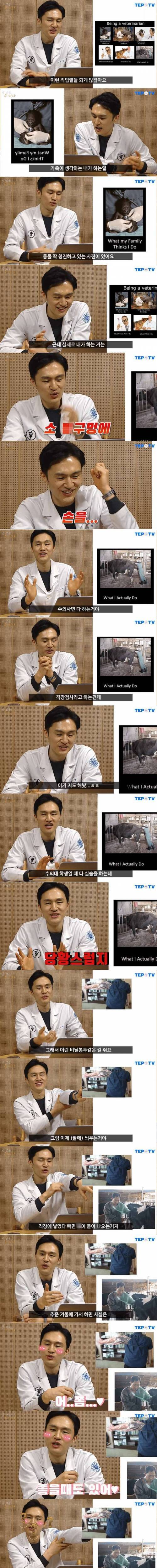 소 직장검사 하면서 수의사가 하는 생각