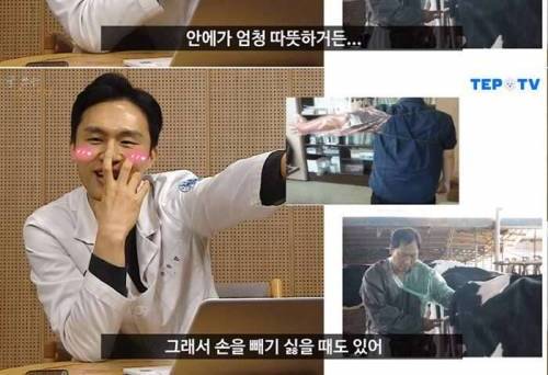 소 직장검사 하면서 수의사가 하는 생각