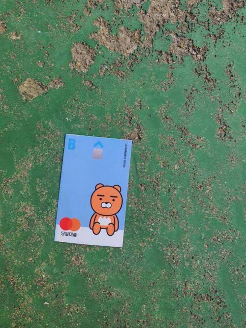 누가 카드 잃어버렸나?