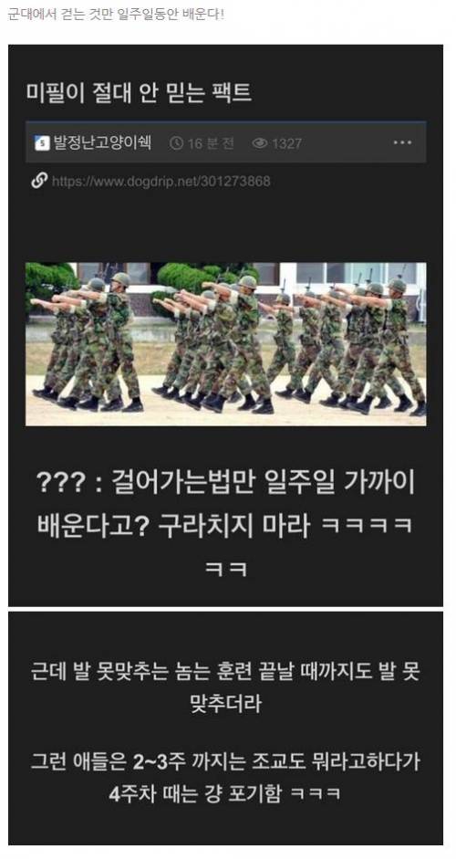 미필이 절대 안 믿는 팩트