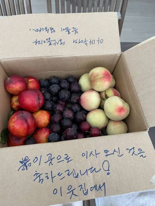 펌) 오늘 이사했는데 이웃집에서 이렇게 주고 가셨다